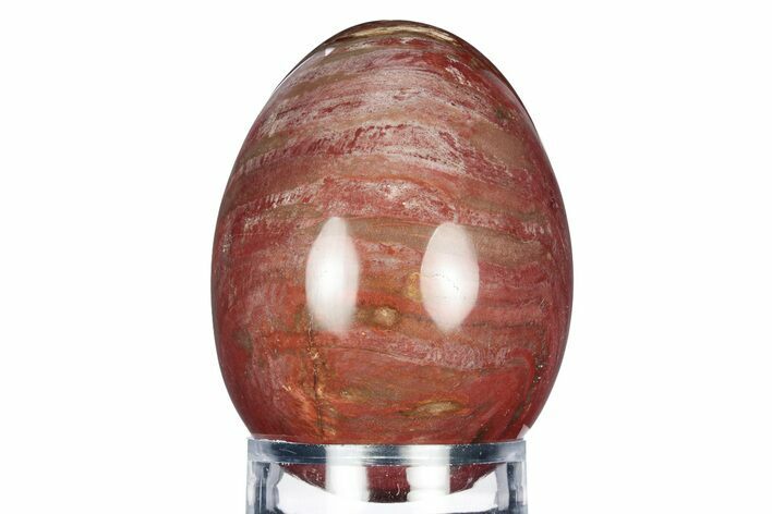 Colorful, Polished Petrified Wood Egg - Madagascar #318332